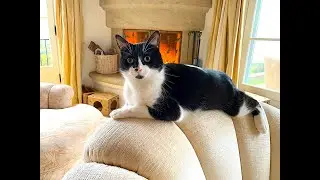 AnimalZone - Bonus Season, Episode 5