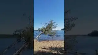 димен выпускной