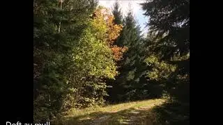 HÖST