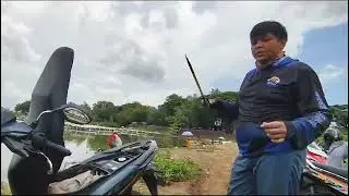 MULUR IKAN HAUP