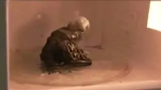 phone in a microwave experiment (gone wrong)