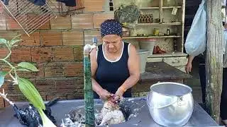 M4t4nç4 no Interior: O Segredo da Receita de Frango Perfeito Desvendado!