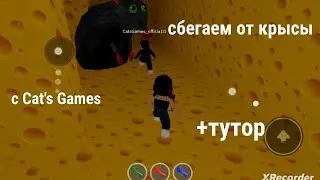 сбегаем с Cat's Games от крысы в сырном лабиринте||прохождение 1 части