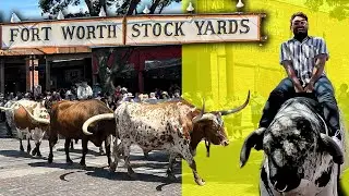 Cowboys at 150 years old Texas stockyard, how last stockyard used to be?