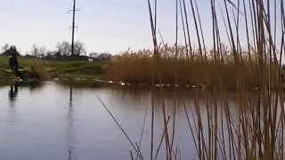 Рыбалка. ст. Старощербиновская. Подстанция.