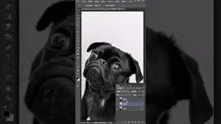photoshop design tutorials for beginners #shorts #photoshop # 145