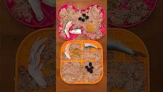 Feeding my German Shepherd & Husky their RAW dinner 🥩🐟 #shorts