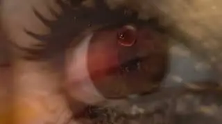 Hana Zagorová - Oheň v duši mé