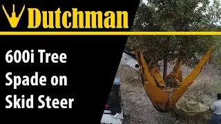 Dutchman 600i Tree Spade on Skid Steer [4K]