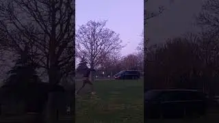FULL ENJOY