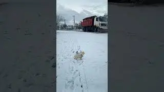 ДОБРОЕ ЗИМНЕЕ УТРО, СТРАНА!)) ВСЕМ Беларусам, музыкальный  ПРИВЕТ ИЗ ОЧЕНЬ  беларуской ДЕРЕВЕНЬКИ)