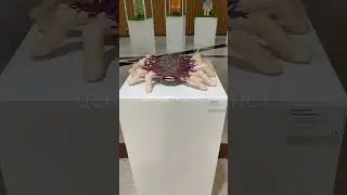 Галерея может изменить тебя #изменисвоюжизнь