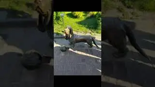 Золотое Кольцо России за 4 дня