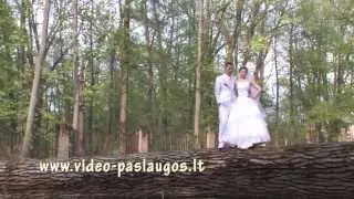 Vestuves 2013