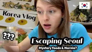 TRAVEL VLOG: Getting out of Seoul~ (so much new food)