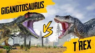 Giganotosaurus - VS - T Rex