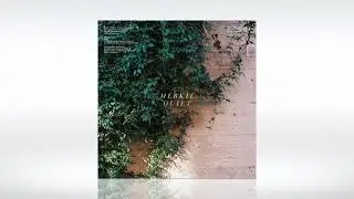 Track of the Day (12/04/2021) ~ Merkie - Quiet (Original Mix) ~ [PRGRSSN Records]