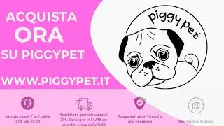 Video Promoziale