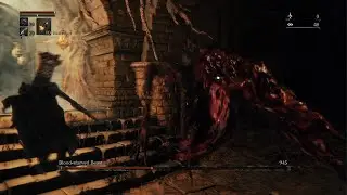 Bloodborne | Blood-starved Beast /ßL4 (noHit:)