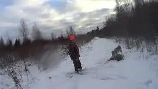 Архив. Кабан Антона