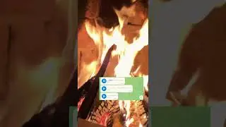 Отзыв об Алсу Марковой
