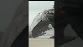Seasmoke || All Dragons From House Of The Dragons (Part 4)