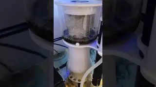 Rossmont Skimer: results in 30 hours operation and easy maintenance