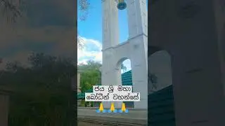 ජය ශ්‍රි මහා බෝධිය #srilanka #ජයමහාබෝධි #shortsvideo #2023 #viral
