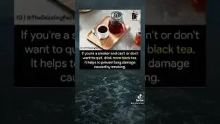 Smoking Theory 