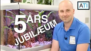 5 års jubilæum for Akvarist Tips og Inspiration