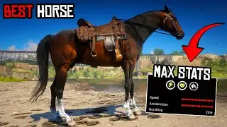 TOP 10 BEST HORSES IN RDR 2