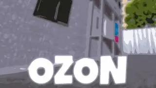 Обзор на карту Ozon GoreBox Animosity