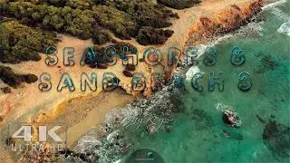 R.A.M. - SEASHORES 8 - SAND BEACH 3