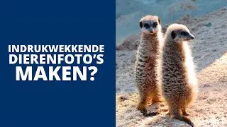 Workshop Dierenfotografie | Burgers’ Zoo Arnhem