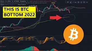 BITCOIN BOTTOM PREDICTION 2022 - How low can Bitcoin go?