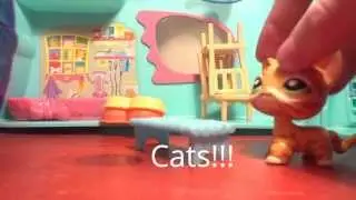 Lps..Cats!!!
