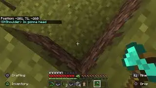 My First Survival World