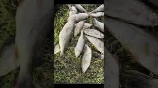 Увы и такое бывает на рыбалке 