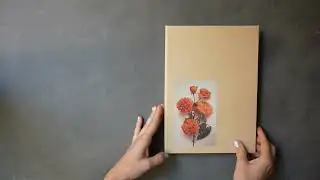 Катя Муха - Отделения