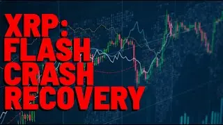 XRP: Flash Crash RECOVERY