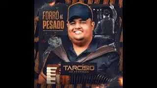 repertorio novo / tarcísio do acordeon//  forró pesado