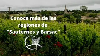 Conoce la historia y características de las regiones 