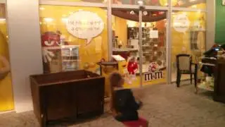 Машина Харинама в Болгарии