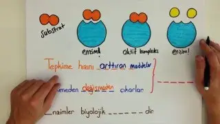 15dk'da TYT-YKS ENZIMLER