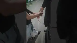 Вот чем занимаются такасисти на свободноя время в старом купавне