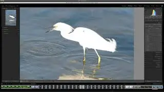 Better Exposures Immediately. Understand Your Camera Meter