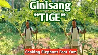 Ginisang 