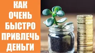 Медитация на деньги денежный магнит 🔴 Талисман на привлечение денег