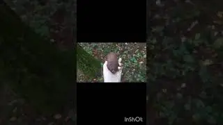 #коп