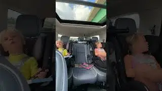 Малыши едут на машине в сафари-парк Lion Safari Park. Видео в машине! 